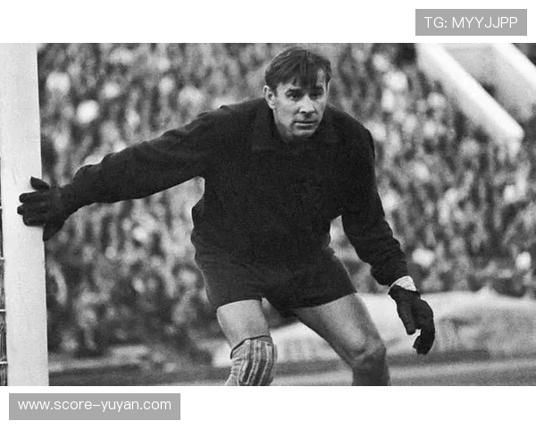 盘点足坛历史上最著名身披十五号球衣的传奇球星故事